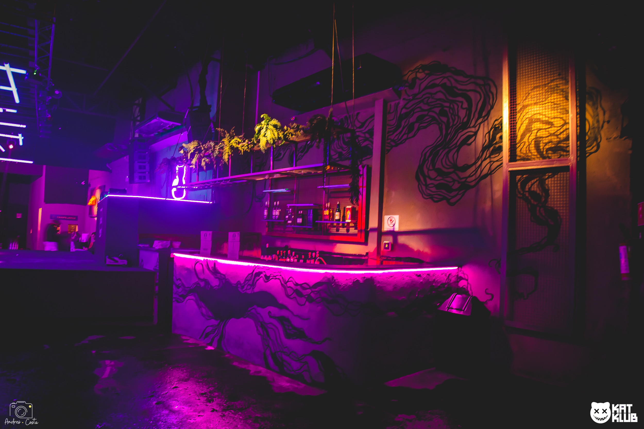 Bar da katklub