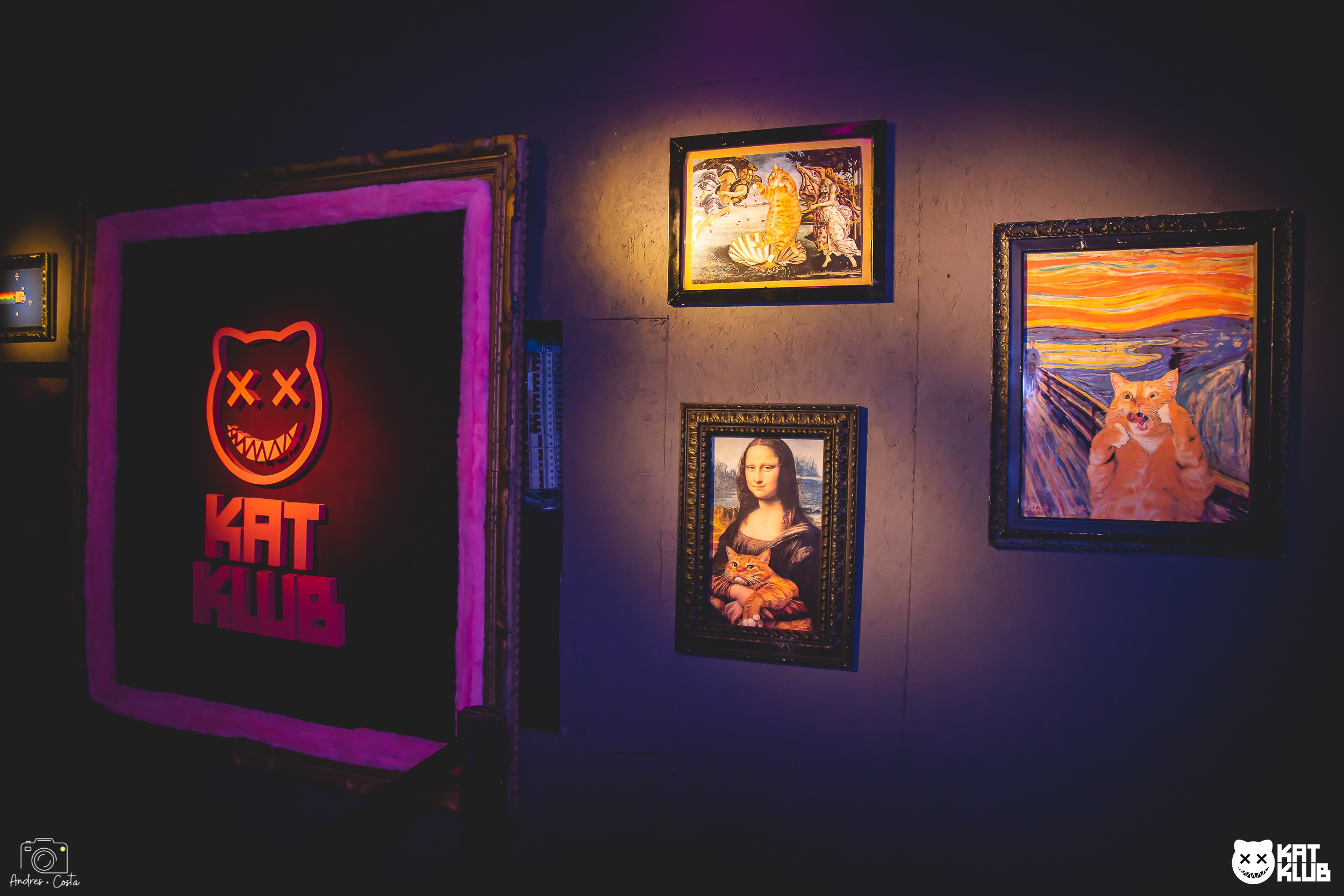 Decoração Katklub