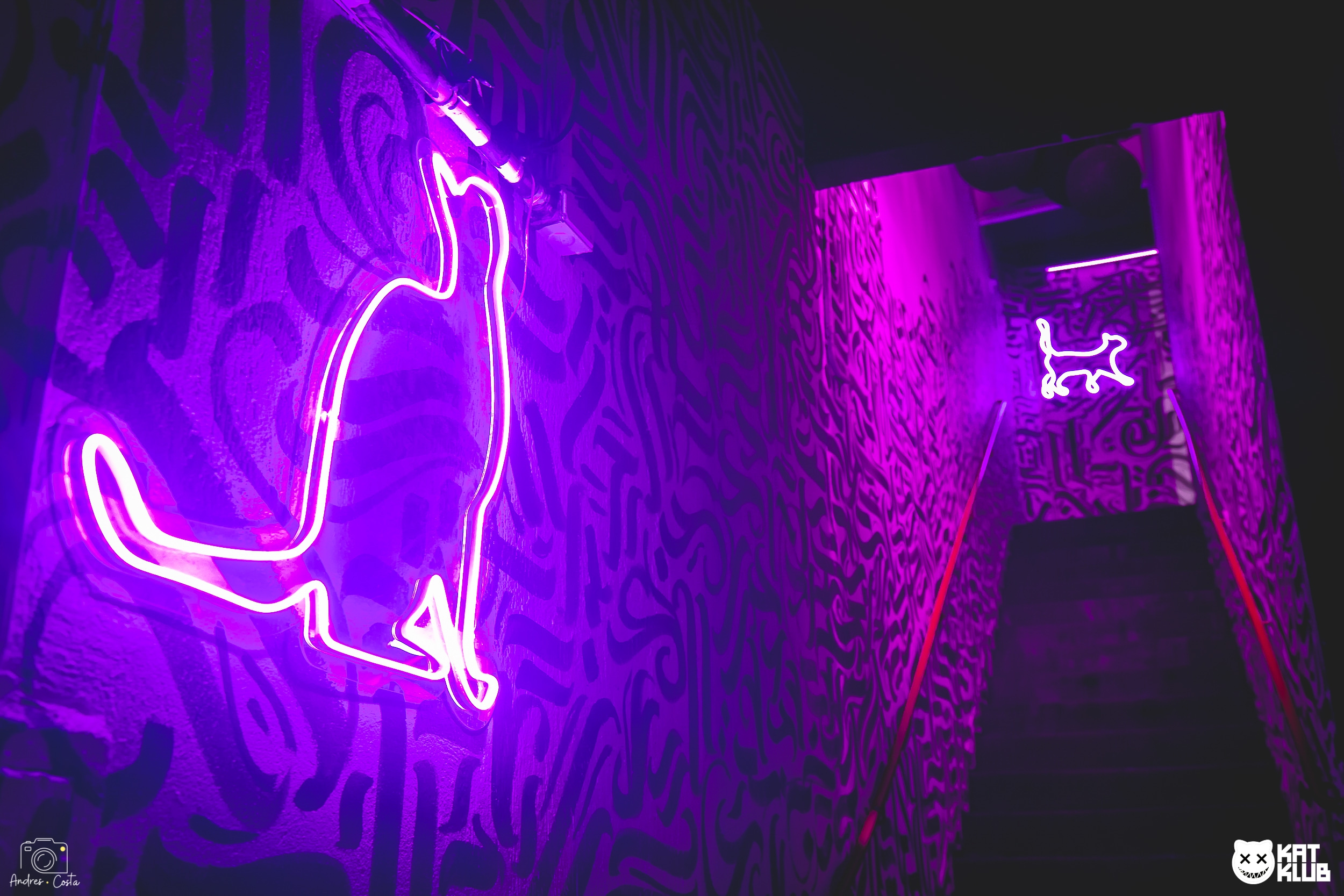 Acesso a pista superior da katklub